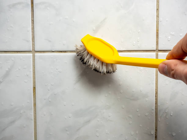 Best Black Mold Remediation in Raceland, KY